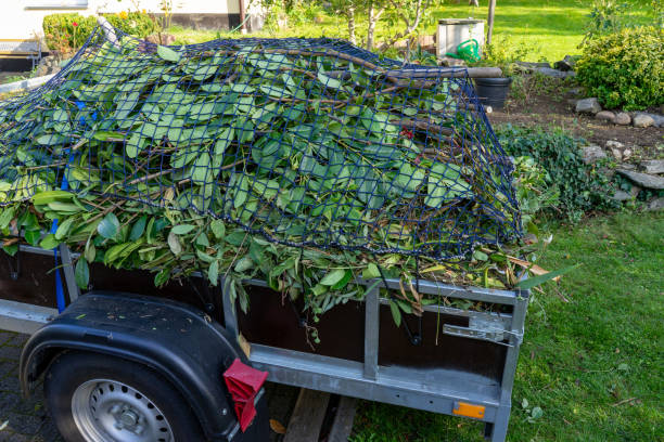 Shed Removal in Maywood, NJ